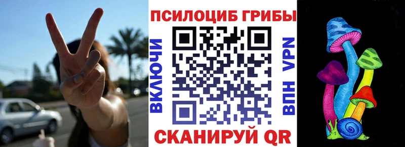 blacksprut ССЫЛКА  где найти наркотики  Котовск  Псилоцибиновые грибы ЛСД 